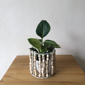 Wooden Bead Planter Sleeve in Small