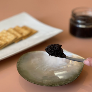 Black Lip Shell Dish + Spoon Set
